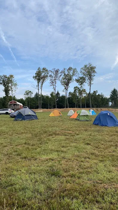 Freedom Hills Campground Picture 5