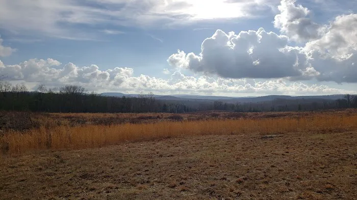 Freedom Hills Campground Picture 4