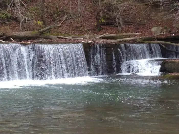 Wolf River Campground Picture 2