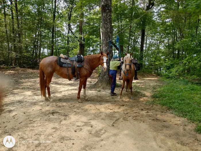East Fork Stables & Campground Picture 2