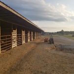 East Fork Stables & Campground