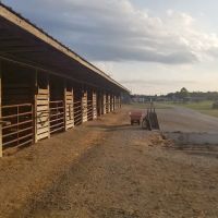 East Fork Stables & Campground ico