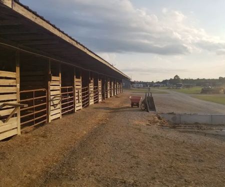 East Fork Stables & Campground