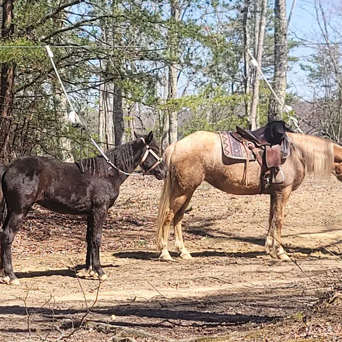 East Fork Stables & Campground Picture 7