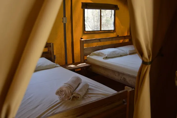 Camp LeConte Luxury Outdoor Resort Picture 5