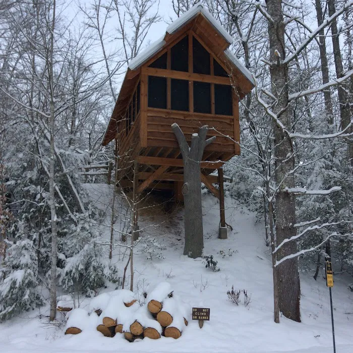 Camp LeConte Luxury Outdoor Resort Picture 8