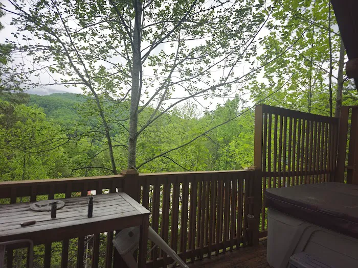 Smokies Boutique Cabins (American Heritage) Picture 8