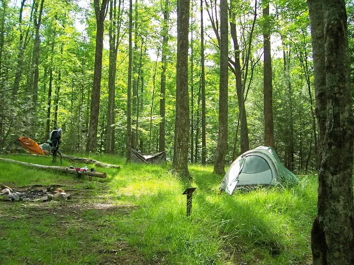 Backcountry Campsite #32 Picture 2