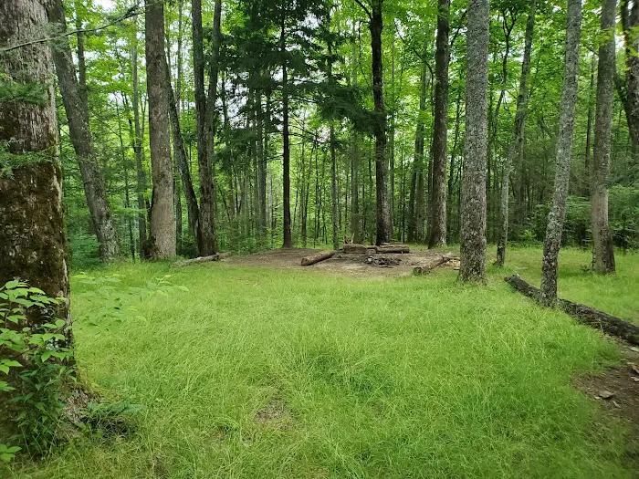 Backcountry Campsite #32 Picture 3