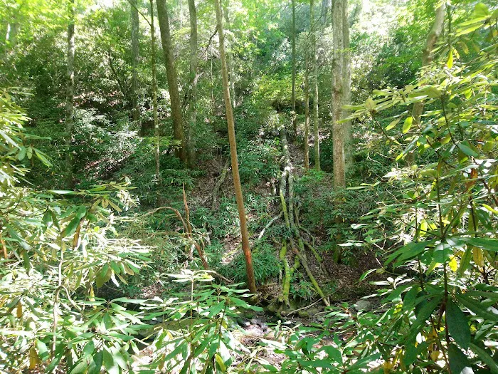 Backcountry Campsite #32 Picture 1