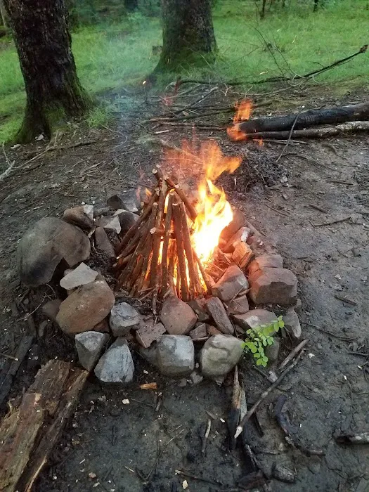 Backcountry Campsite #32 Picture 6