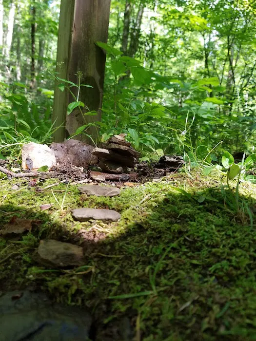 Backcountry Campsite #32 Picture 7