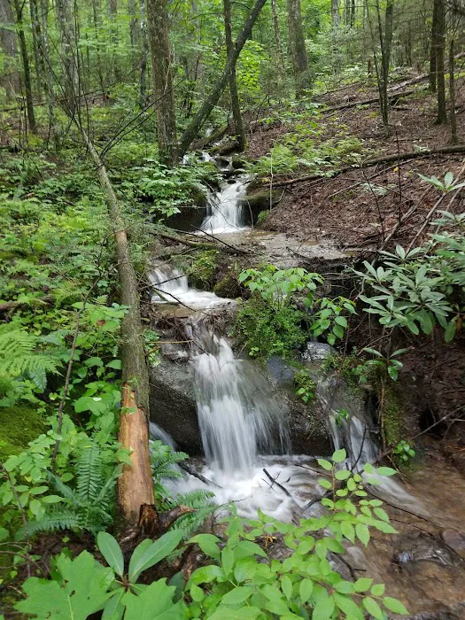 Backcountry Campsite #32 Picture 9