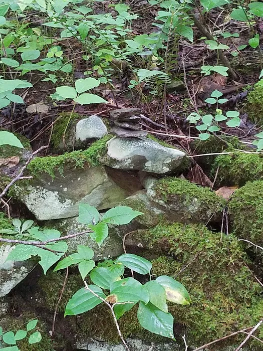 Backcountry Campsite #32 Picture 10