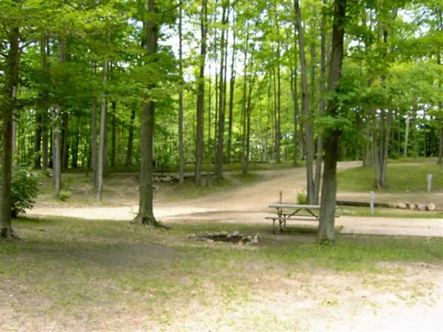 Cadillac Woods Campground Picture 2