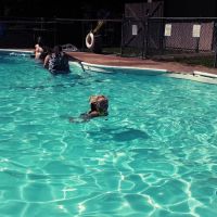 Cadillac Woods Campground ico