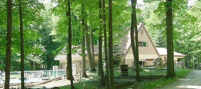 Cadillac Woods Campground Picture 3