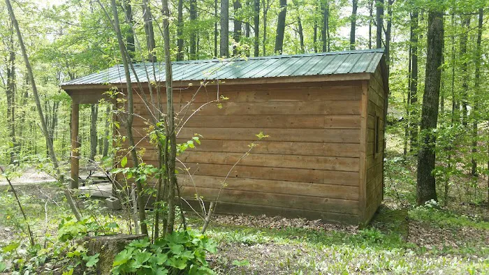 Cadillac Woods Campground Picture 9