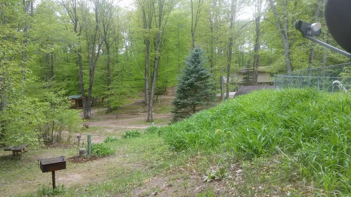 Cadillac Woods Campground Picture 7