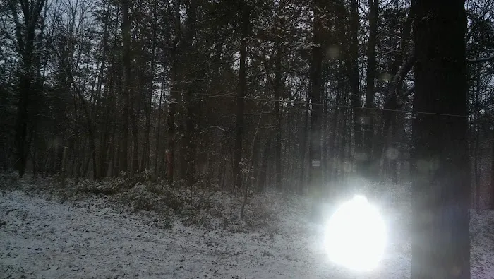 Carrieville State Forest Campground Picture 6