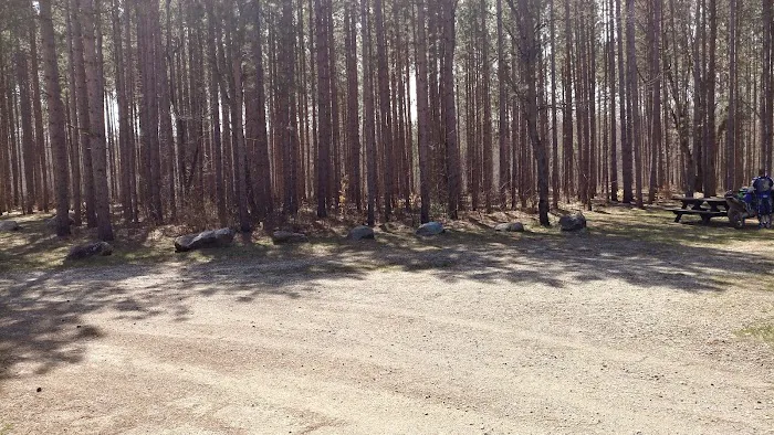 Carrieville State Forest Campground Picture 7