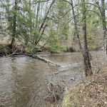 Silver Creek Campground