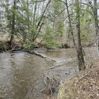 Silver Creek Campground ico