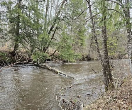 Silver Creek Campground