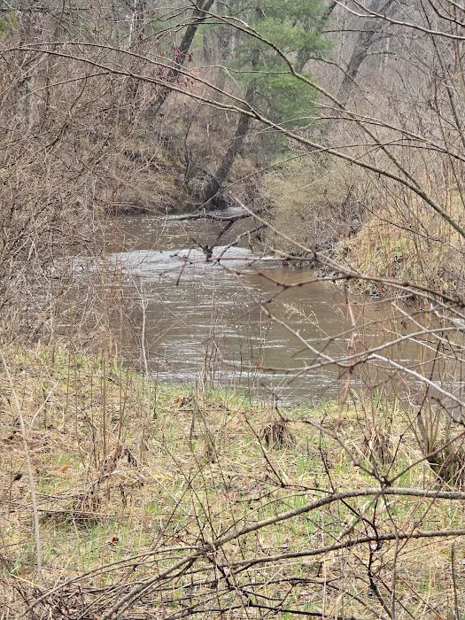 Silver Creek Campground Picture 4