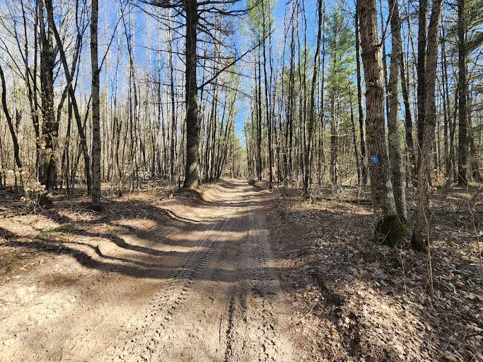 Silver Creek State Forest Campground Picture 4
