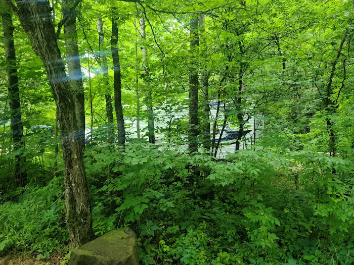 Silver Creek State Forest Campground Picture 5