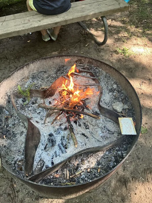 Silver Creek State Forest Campground Picture 9