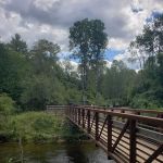 Lincoln Bridge State Forest Campground