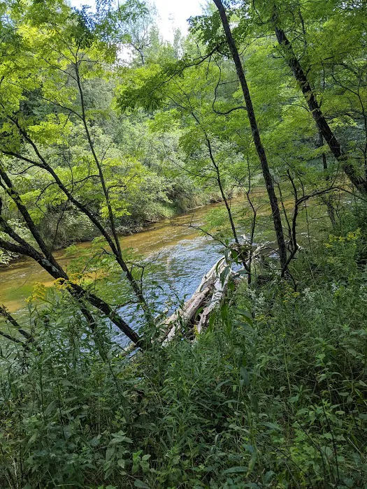 Lincoln Bridge State Forest Campground Picture 6