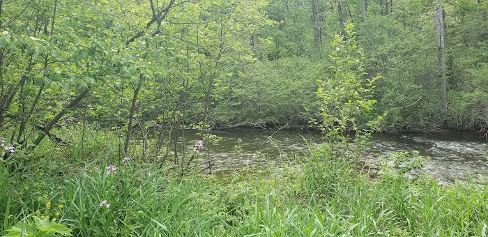 Lincoln Bridge State Forest Campground Picture 10