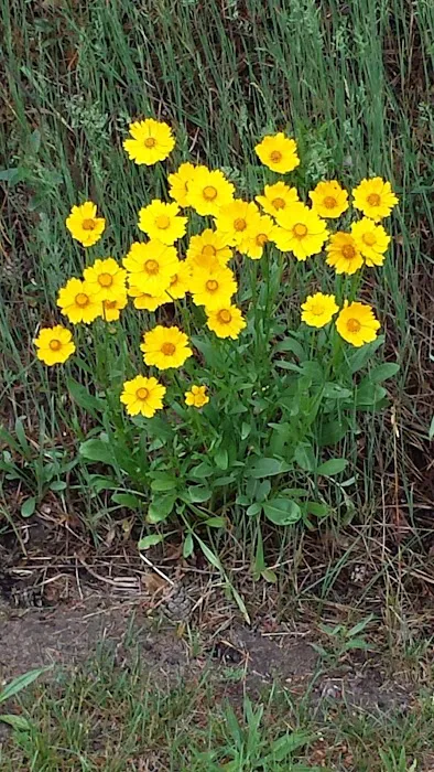 Natural Resources Department Picture 2