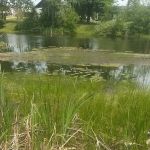 Natural Resources Department