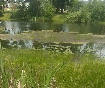 Natural Resources Department