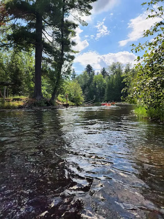 Au Sable Canoe Camp Ground Picture 5