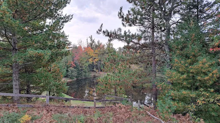 Au Sable Canoe Camp Ground Picture 7