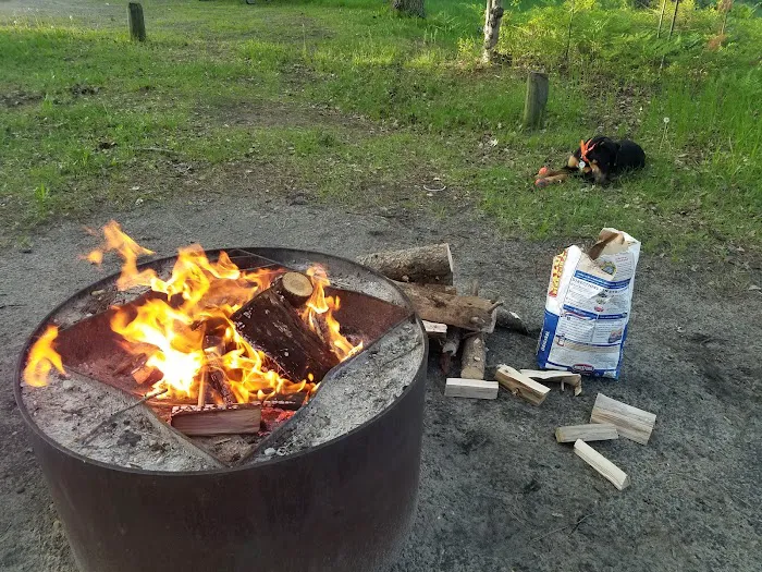 Lake Margrethe State Forest Campground Picture 4