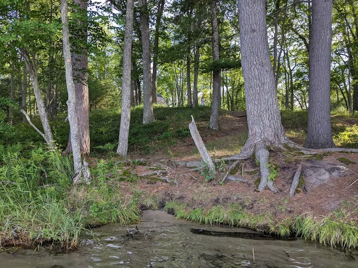 Lake Margrethe State Forest Campground Picture 10
