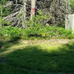 Cherry Creek Retreat