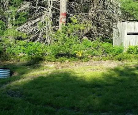 Cherry Creek Retreat