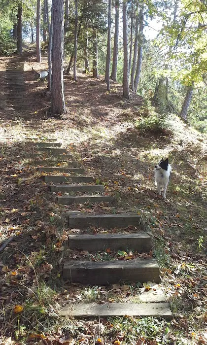 River Dune Campground Picture 1