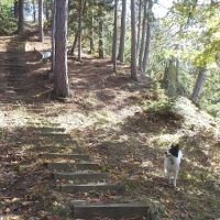 River Dune Campground ico