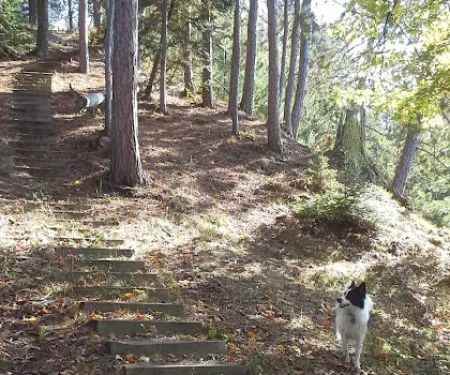 River Dune Campground