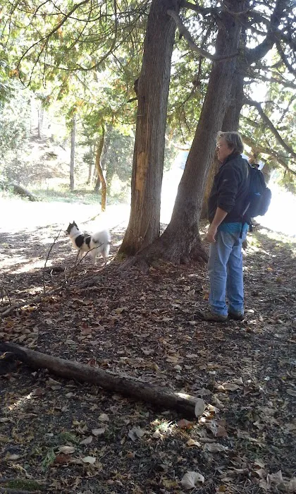 River Dune Campground Picture 6