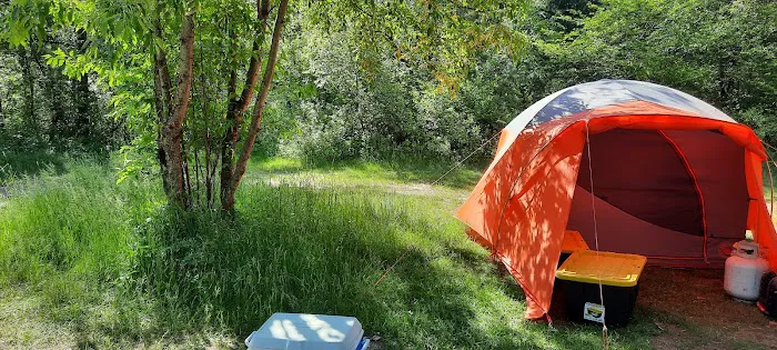 Au Sable Loop Campground and Day Use Area Picture 4