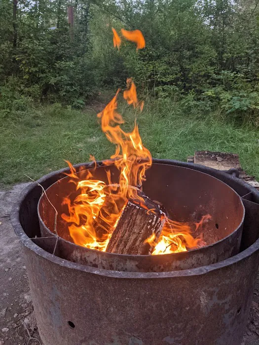 Au Sable Loop Campground and Day Use Area Picture 1